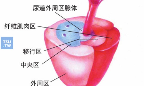 前列舒通胶囊副作用