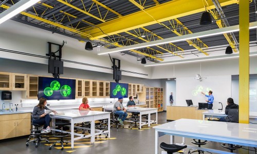 哪些人不宜食用酸辣木耳片？酸辣木耳片的副作用有哪些?